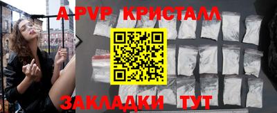 гидра Кингисепп