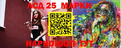 гидра Кингисепп