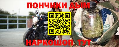гидра Кингисепп